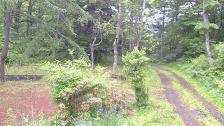 長野県菅平高原 ゆたか山荘 坂上 2026/06/15 06:00