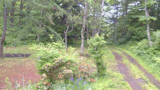 長野県菅平高原 ゆたか山荘 坂上 2026/06/15 06:45