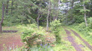長野県菅平高原 ゆたか山荘 坂上 2026/06/15 07:00