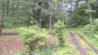 長野県菅平高原 ゆたか山荘 坂上 2026/06/15 07:30