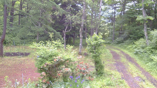 長野県菅平高原 ゆたか山荘 坂上 2026/06/15 07:45