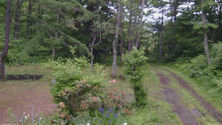 長野県菅平高原 ゆたか山荘 坂上 2026/06/15 09:15