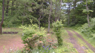 長野県菅平高原 ゆたか山荘 坂上 2026/06/15 10:30