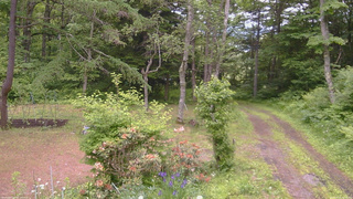 長野県菅平高原 ゆたか山荘 坂上 2026/06/15 11:00