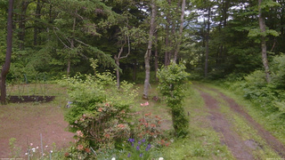 長野県菅平高原 ゆたか山荘 坂上 2026/06/15 11:15