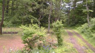 長野県菅平高原 ゆたか山荘 坂上 2026/06/15 11:30