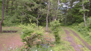長野県菅平高原 ゆたか山荘 坂上 2026/06/15 12:00