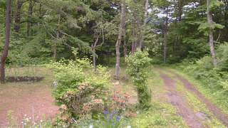 長野県菅平高原 ゆたか山荘 坂上 2026/06/15 12:30