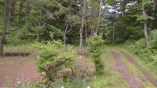 長野県菅平高原 ゆたか山荘 坂上 2026/06/15 12:45