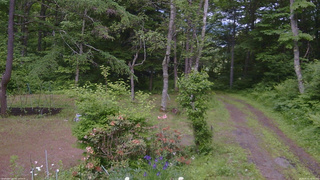 長野県菅平高原 ゆたか山荘 坂上 2026/06/15 13:45