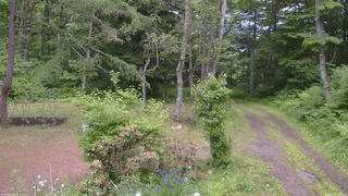 長野県菅平高原 ゆたか山荘 坂上 2026/06/15 14:00