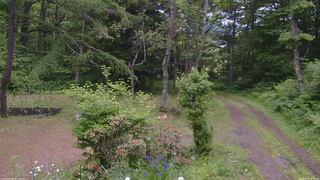 長野県菅平高原 ゆたか山荘 坂上 2026/06/15 14:15