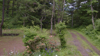 長野県菅平高原 ゆたか山荘 坂上 2026/06/15 14:30