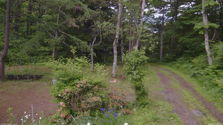 長野県菅平高原 ゆたか山荘 坂上 2026/06/15 14:45