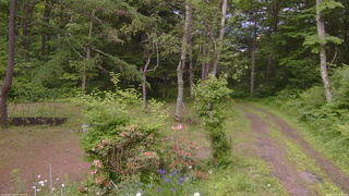 長野県菅平高原 ゆたか山荘 坂上 2026/06/15 15:30