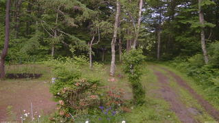 長野県菅平高原 ゆたか山荘 坂上 2026/06/15 15:45