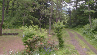 長野県菅平高原 ゆたか山荘 坂上 2026/06/15 17:00