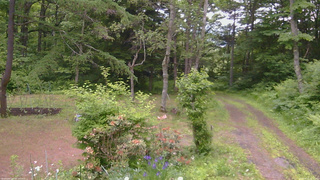 長野県菅平高原 ゆたか山荘 坂上 2026/06/15 17:15