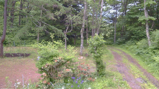 長野県菅平高原 ゆたか山荘 坂上 2026/06/15 18:15