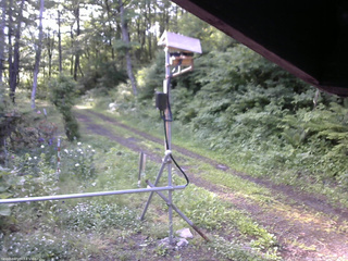 長野県菅平高原 ゆたか山荘 南側 2026/06/16 06:30