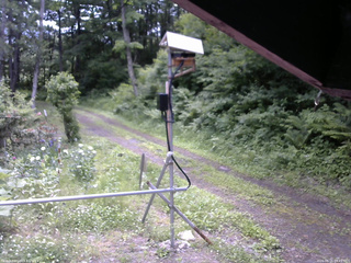 長野県菅平高原 ゆたか山荘 南側 2026/06/16 09:45