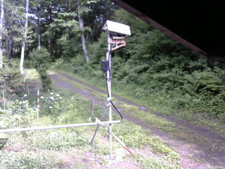 長野県菅平高原 ゆたか山荘 南側 2026/06/16 15:15