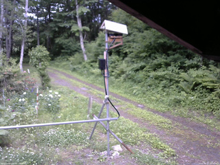 長野県菅平高原 ゆたか山荘 南側 2026/06/16 15:30