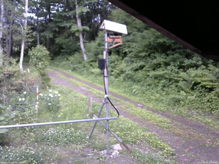 長野県菅平高原 ゆたか山荘 南側 2026/06/16 17:00