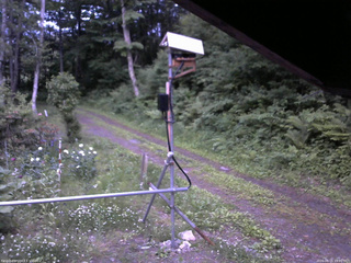 長野県菅平高原 ゆたか山荘 南側 2026/06/16 19:00