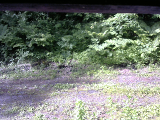 長野県菅平高原 ゆたか山荘 東側(坂下) 2026/06/16 07:15