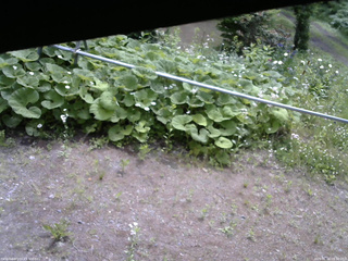 長野県菅平高原 ゆたか山荘 駐車場 2026/06/16 09:30