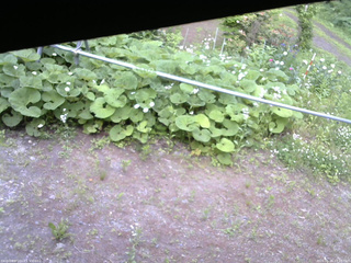 長野県菅平高原 ゆたか山荘 駐車場 2026/06/16 17:15