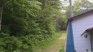 長野県菅平高原 ゆたか山荘 ゆたか山荘 2026/06/16 13:30