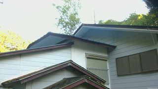 長野県菅平高原 ゆたか山荘 駐車場奥 2026/06/16 05:15