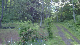 長野県菅平高原 ゆたか山荘 坂上 2026/06/16 05:00