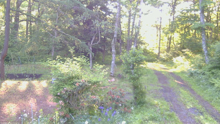 長野県菅平高原 ゆたか山荘 坂上 2026/06/16 05:45