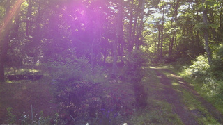 長野県菅平高原 ゆたか山荘 坂上 2026/06/16 06:45