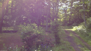 長野県菅平高原 ゆたか山荘 坂上 2026/06/16 07:00