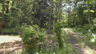 長野県菅平高原 ゆたか山荘 坂上 2026/06/16 08:15