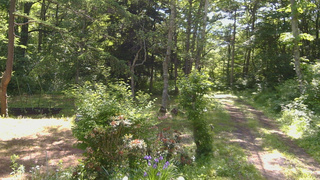 長野県菅平高原 ゆたか山荘 坂上 2026/06/16 08:30