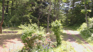 長野県菅平高原 ゆたか山荘 坂上 2026/06/16 10:00