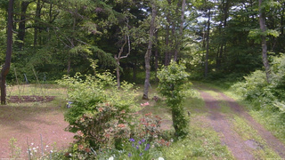 長野県菅平高原 ゆたか山荘 坂上 2026/06/16 10:45