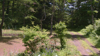 長野県菅平高原 ゆたか山荘 坂上 2026/06/16 11:00