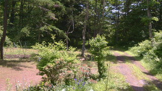 長野県菅平高原 ゆたか山荘 坂上 2026/06/16 11:15