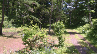 長野県菅平高原 ゆたか山荘 坂上 2026/06/16 12:00