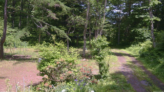 長野県菅平高原 ゆたか山荘 坂上 2026/06/16 12:45