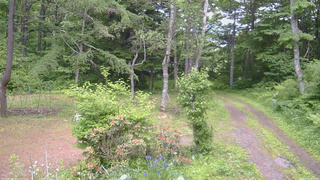 長野県菅平高原 ゆたか山荘 坂上 2026/06/16 13:00
