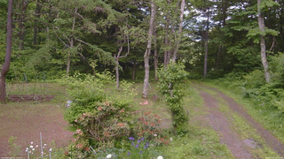 長野県菅平高原 ゆたか山荘 坂上 2026/06/16 14:00