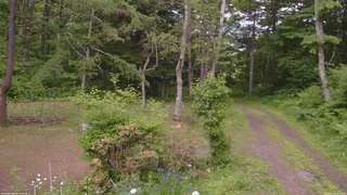 長野県菅平高原 ゆたか山荘 坂上 2026/06/16 14:15