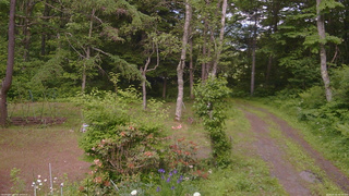 長野県菅平高原 ゆたか山荘 坂上 2026/06/16 14:30